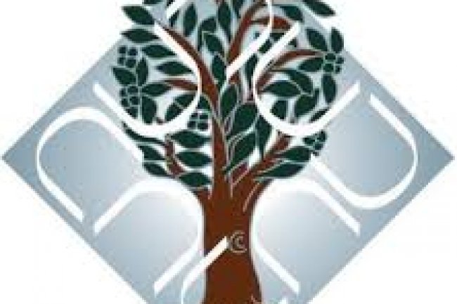 डाँ भीमराव अंबेडकर विश्वविद्यालय में 55 पदों पर भर्ती