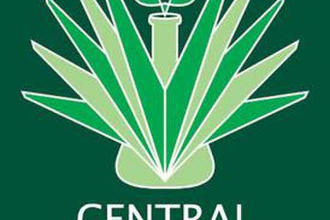 केंद्रीय विश्वविद्यालय पंजाब में 03 पदों पर भर्ती