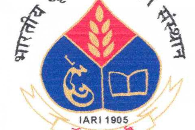 भारतीय कृषि अनुसंधान संस्थान में विभिन्न पदों पर भर्ती