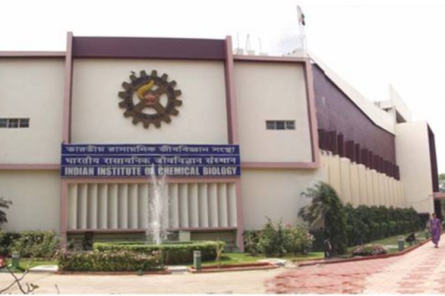 सीएसआईआर-भारतीय रासायनिक जीव विज्ञान संस्थान में विभिन्न पदों पर भर्ती