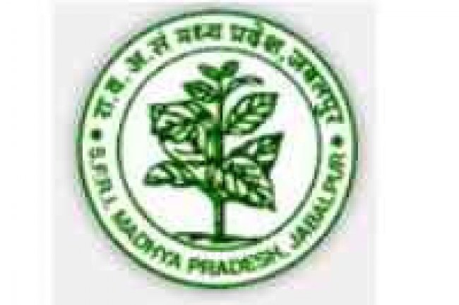 राज्य वन अनुसंधान जबलपुर में विभिन्न पदों पर भर्ती