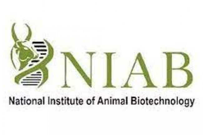 राष्ट्रीय पशु जैव प्रौद्योगिकी संस्थान में विभिन्न पदों पर भर्ती