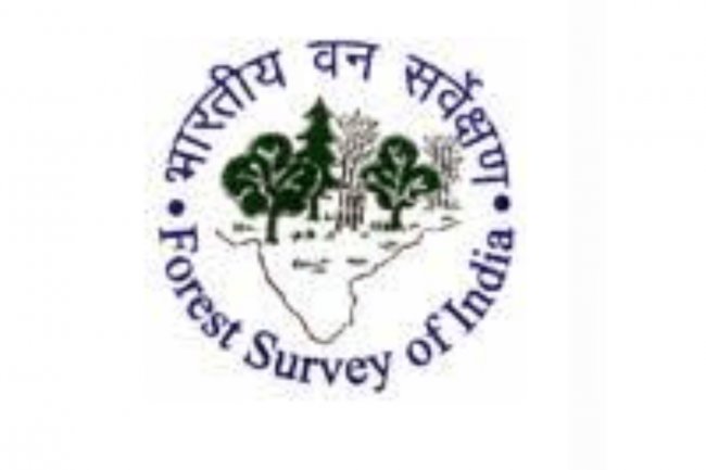 भारतीय वन सर्वेक्षण में रोजगार के अवसर