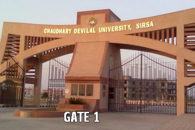 CDLU सिरसा में 53 पदों पर भर्ती का अवसर