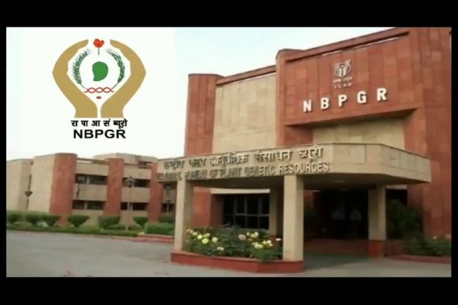 प्रोजेक्ट एसोसिएट व फील्ड वर्कर पद रिक्त