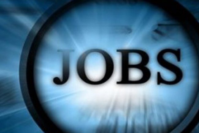 संपदा अधिकारी व वरिष्ठ चिकित्सा अधिकारी पद रिक्त