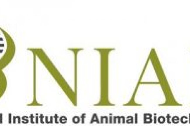 JOB ALERT: राष्ट्रीय पशु जैव प्रौद्योगिकी संस्थान में विभिन्न पदों पर भर्ती