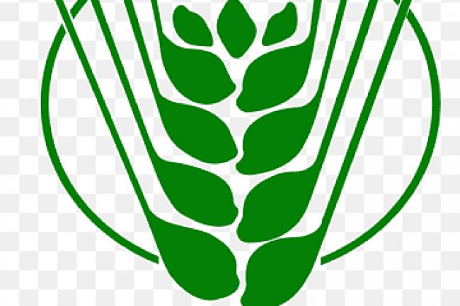 JOB ALERT: आईसीएआर–राष्ट्रीय पादप आनुवंशिक संसाधन ब्यूरो में विभिन्न पदों पर भर्ती