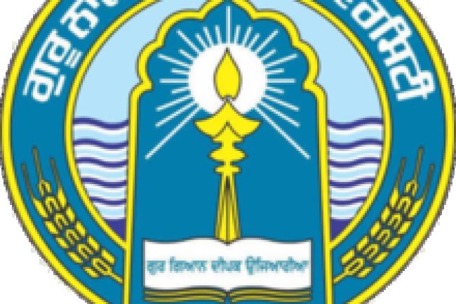 गुरु नानक देव विश्वविद्यालय में 102 पदों पर भर्ती