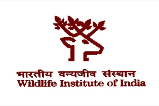 भारतीय वन्यजीव संस्थान में आवेदन करने के लिए कुछ घंटे शेष