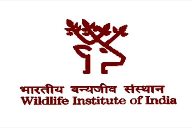 भारतीय वन्यजीव संस्थान में अप्लाई
