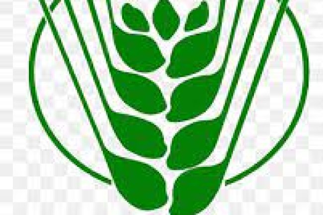 JOB ALERT: राष्ट्रीय पादप आनुवंशिक संसाधन ब्यूरो में विभिन्न पदों पर भर्ती