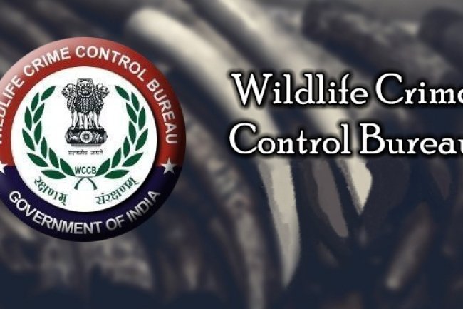 डब्ल्यूसीसीबी में निकले रोजगार