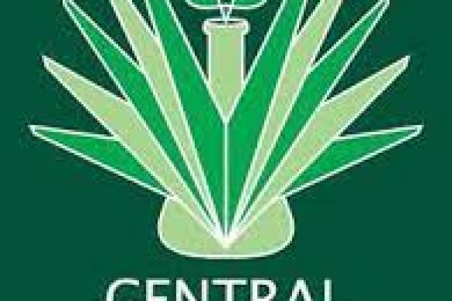 केंद्रीय विश्वविद्यालय पंजाब में विभिन्न पदों पर भर्ती