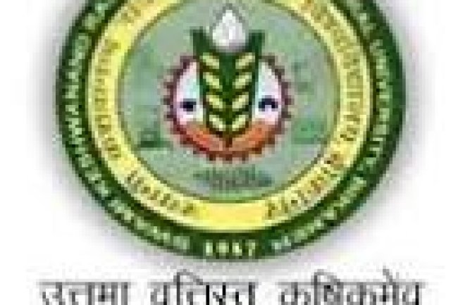 SKRAU में विभिन्न पदों पर भर्ती