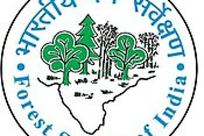 भारतीय वन सर्वेक्षण में विभिन्न पदों पर भर्तियां 