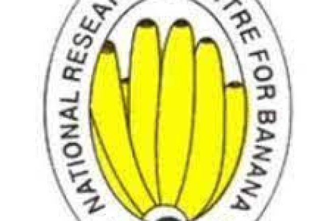 राष्ट्रीय केला अनुसंधान केंद्र में विभिन्न पदों पर भर्तियां 