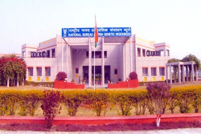 राष्ट्रीय पादप आनुवंशिक संसाधन ब्यूरों में भर्ती