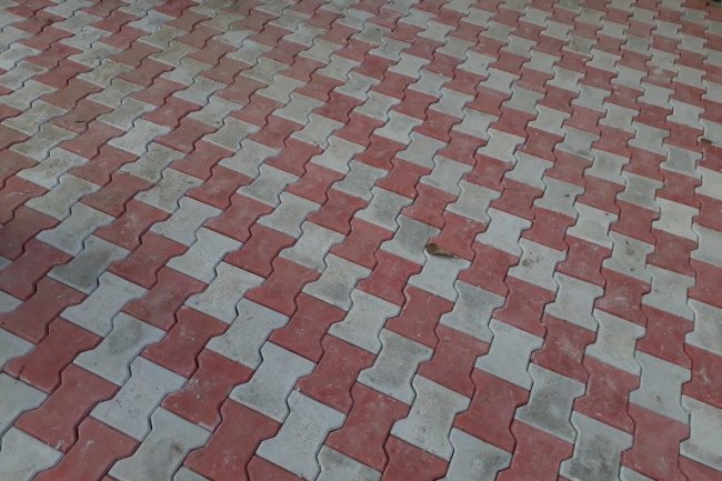 27.5 लाख से होगा विकास