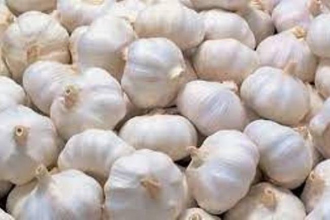 लहसुन में भयंकर तेजी से होश उड़े