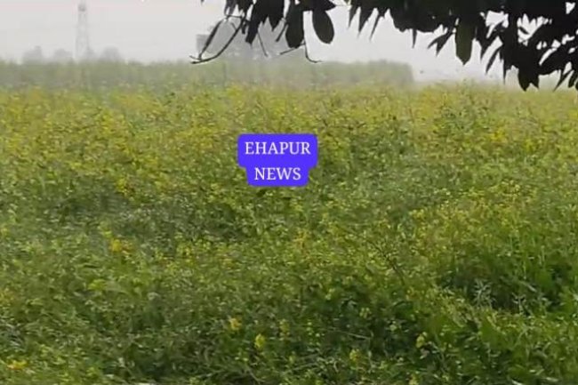 तेज बारिश से खिले किसानों के चेहरे