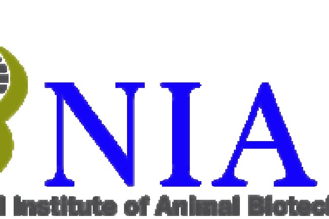 राष्ट्रीय जांच एजेंसी में भर्तियां