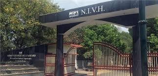 NIVH में पीजीटी व सलाहकार सहित अन्य पद रिक्त