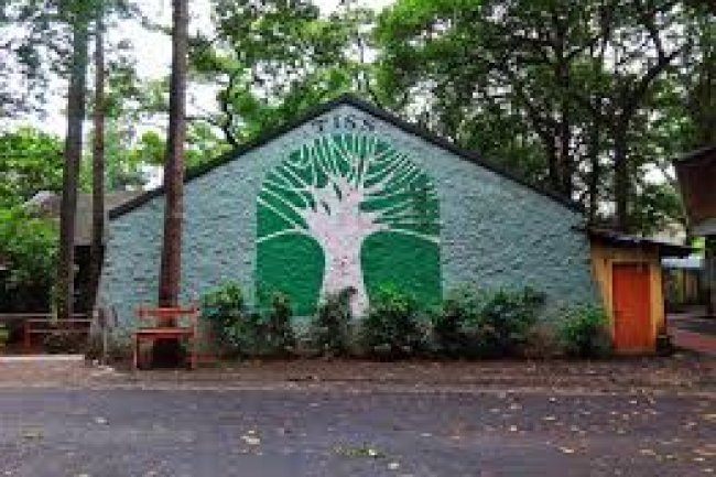 टाटा इंस्टीट्यूट आफ सोशल साइंसेज में भर्ती