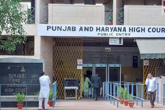 पंजाब एंड हरियाणा हाईकोर्ट में अवसर