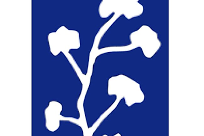 काँटन कारपोरेशन आफ इंडिया में भर्तियां