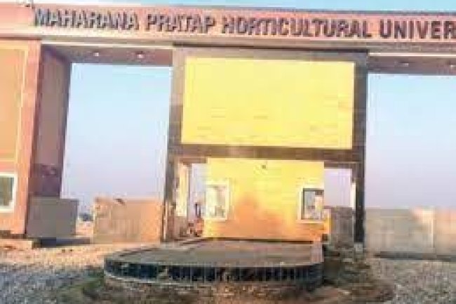 एमएचयू, करनाल हरियाणा में अवसर