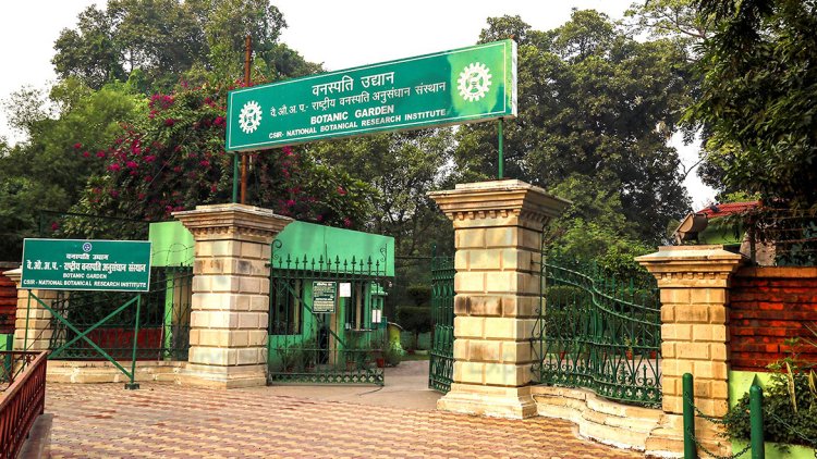 राष्ट्रीय वनस्पति अनुसंधान संस्थान में भर्ती