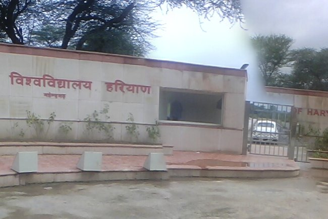 हरियाणा केंद्रीय विश्वविद्यालय में भर्ती