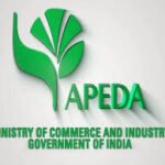 कृषि एवं प्रसंस्कृत खाद्य उत्पाद निर्यात विकास प्राधिकरण में भर्ती