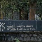 Home 48 भारतीय वन्यजीव संस्थान में मौके