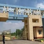 भारतीय प्रौद्योगिकी संस्थान पटना में भर्ती