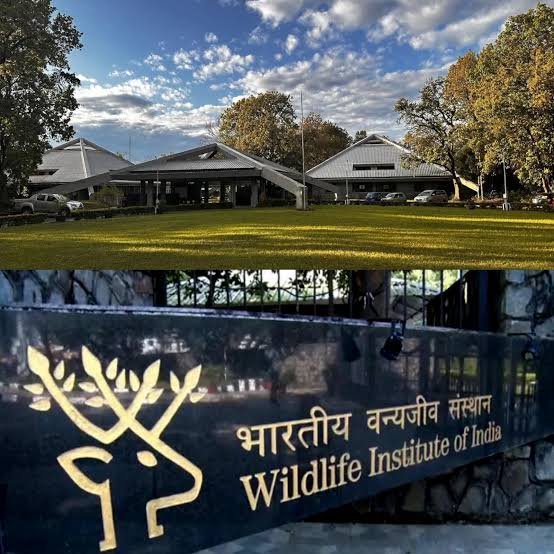भारतीय वन्जजीव संस्थान में रोजगार