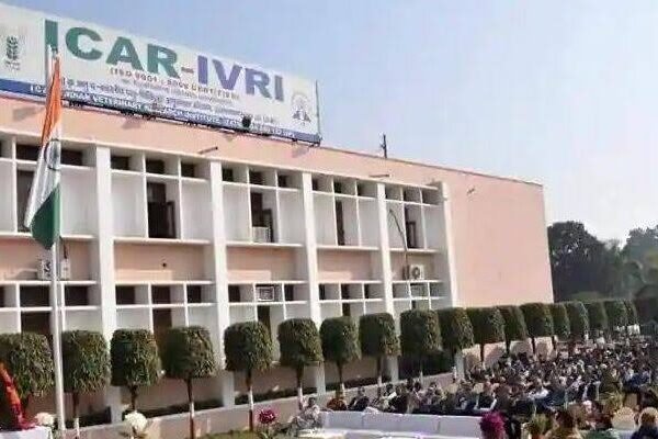 आईसीएआर आईवीआरआई उत्तर प्रदेश में मौके